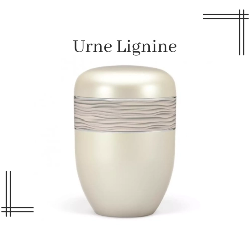 Urne Lignine